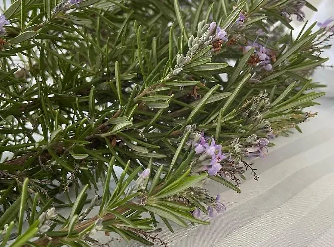 Rustic Hill Private Pool كالاماتا